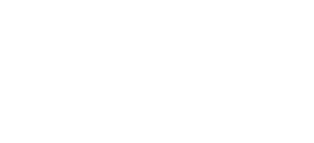 Boustead Logo White