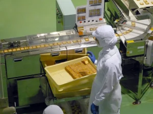 Food Manufacturing & Services