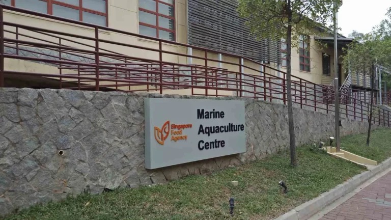 Singapore Food Agency Marine Aquaculture Centre