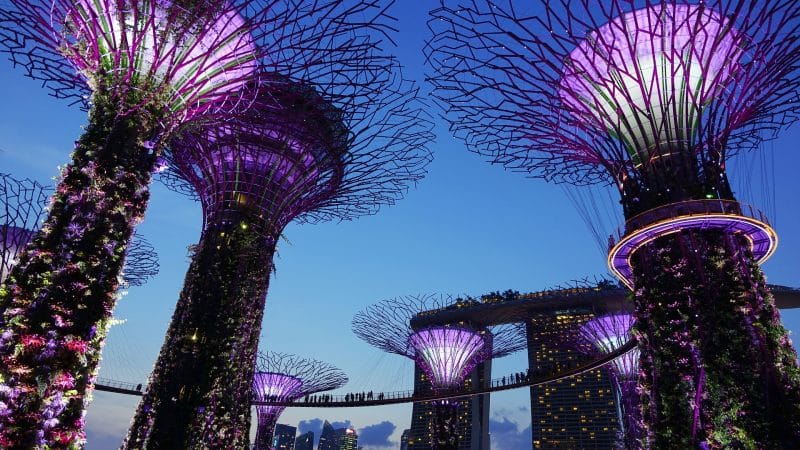 Cyclect energy and meica engineering works portfolio reference for Gardens by the Bay in Singapore