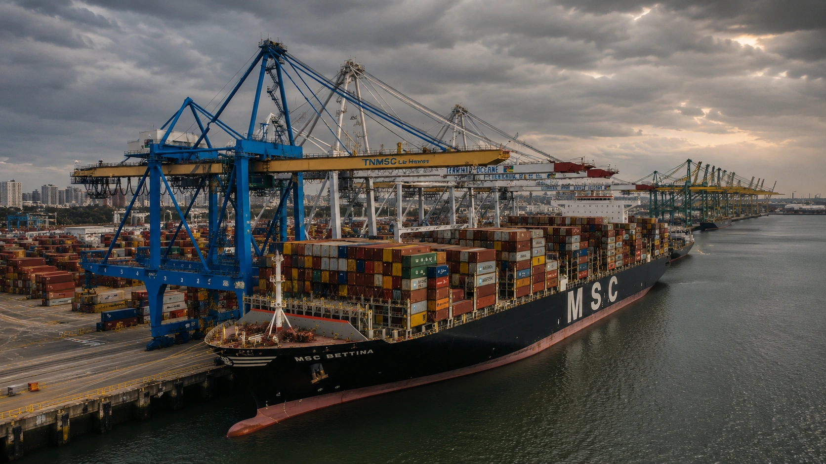 Cyclect marine technical services and mro support portfolio reference for Mediterranean Shipping Company