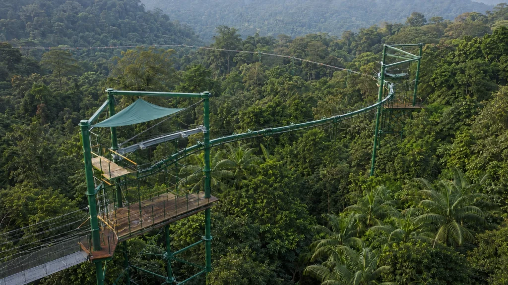 Mandai Canopy Rider Rainforest South