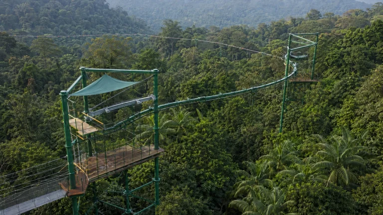 Mandai Canopy Rider Rainforest South Mandai Canopy Rider Rainforest South